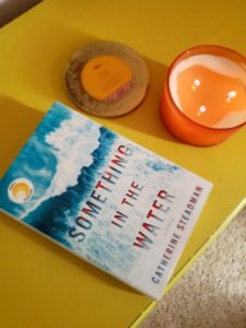 Something in the Water by Catherine Steadman – Lit(erature) with Lexi