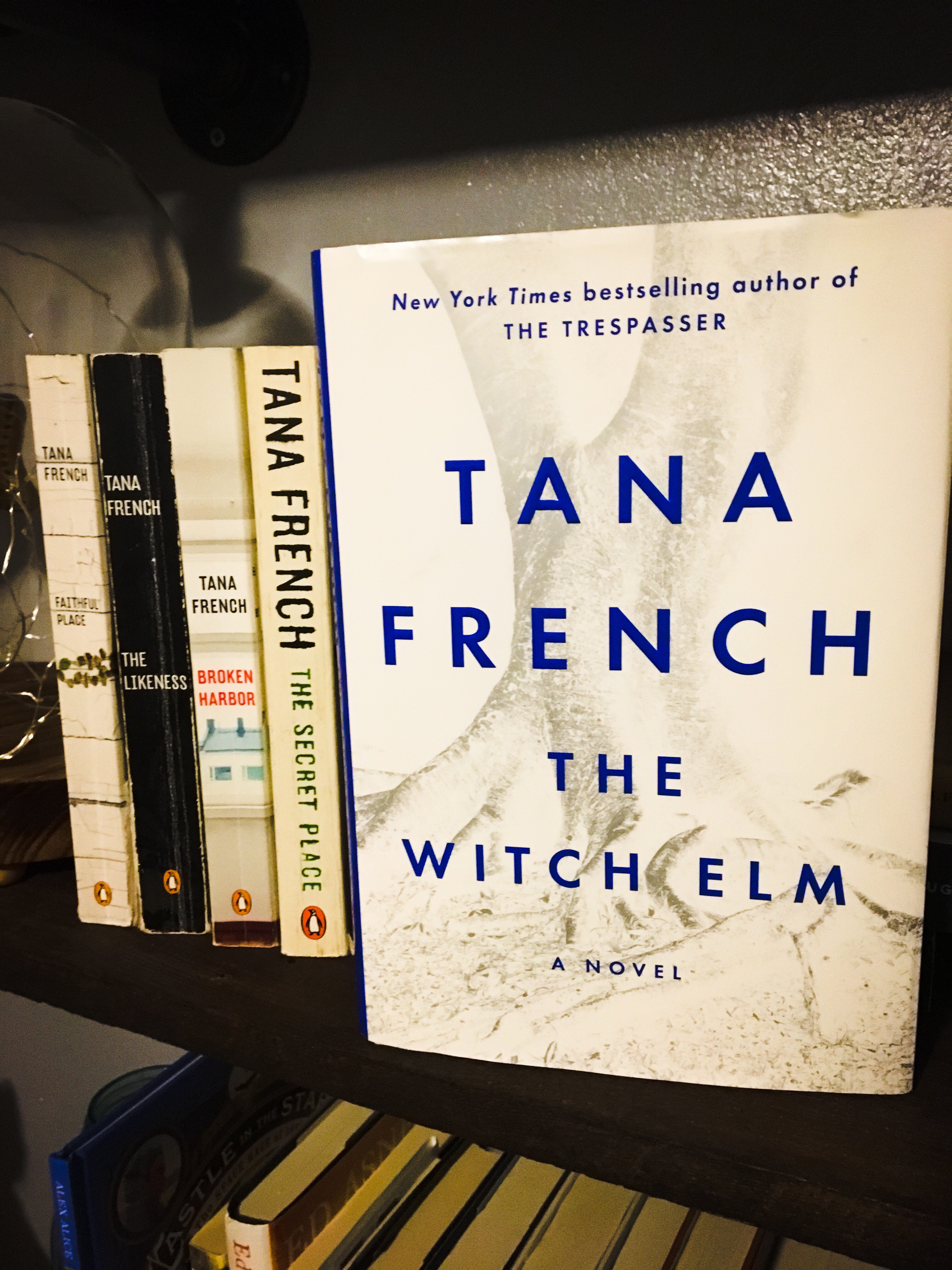 the witch elm a novel